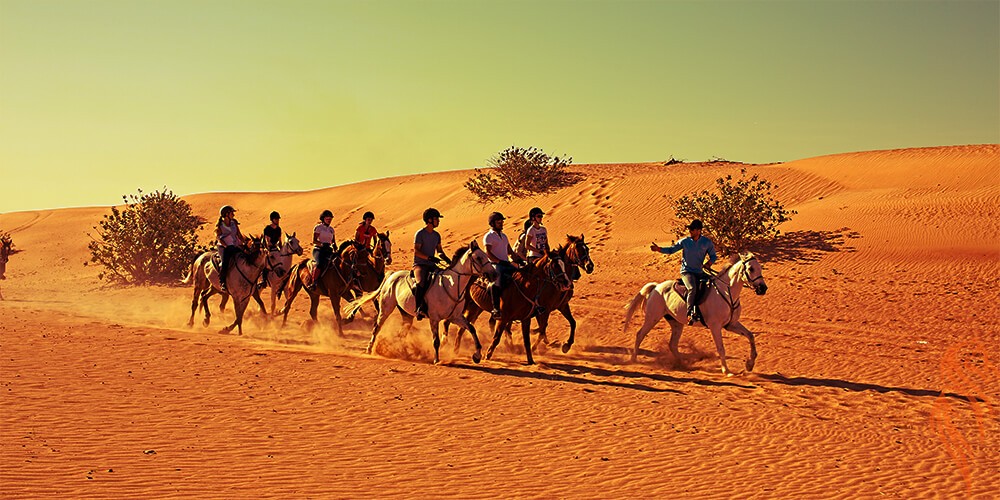 horse riding in dubai